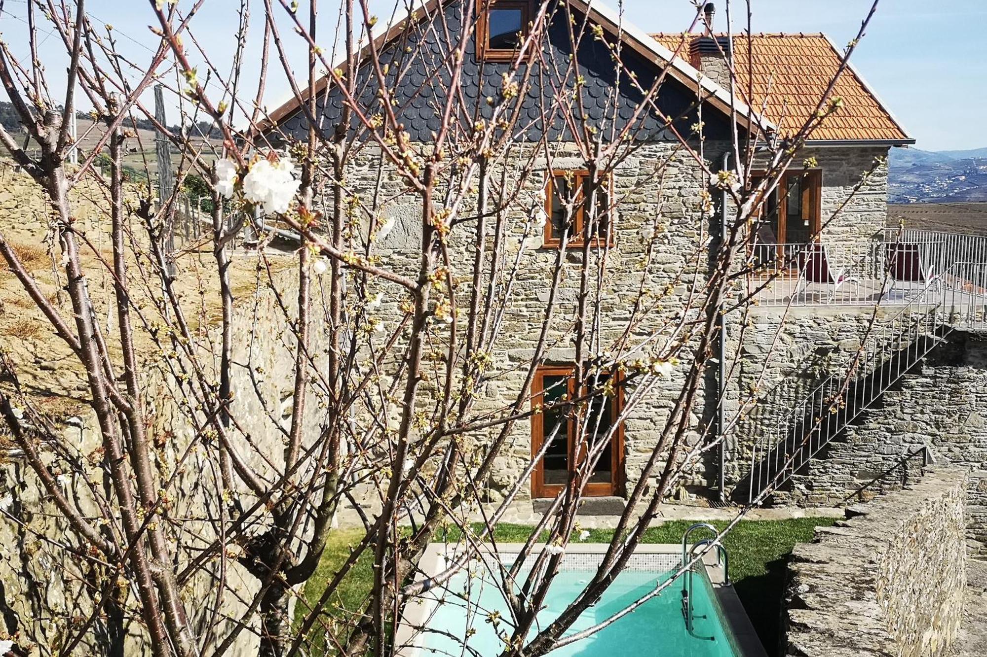 Sobreiro'S Villa In Douro Valley Mesao Frio Exterior photo